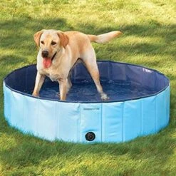 Trixie Pool For Dogs -Pet Supplies-Dogs Shop 61Wwcy7Dx8L 62a751904e102 g