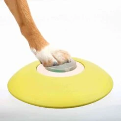 Trixie Memory Trainer Dog Activity 7 Trixie Memory Trainer Dog Activity -Pet Supplies-Dogs Shop 65662 pho pro dog clip 32040 1 2 g