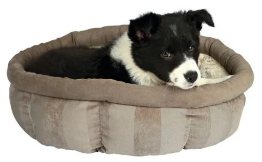 Trixie Cream And Brown Leona Bed For Cats And Dogs 2 Trixie Cream And Brown Leona Bed For Cats And Dogs - Image 2