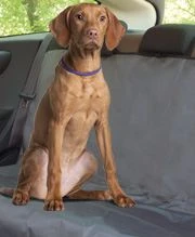 Freedog Water Resistant Cubreasientos