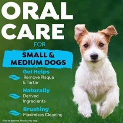 TropiClean Fresh Breath Dental Hygiene Kit For Puppies 59 Ml -Pet Supplies-Dogs Shop 81RiPTaG2sL AC SX679 637be48605cff g
