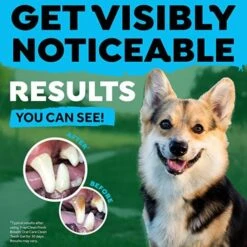 TropiClean Fresh Breath Dental Hygiene Kit For Puppies 59 Ml -Pet Supplies-Dogs Shop 81v9AaG6hKL AC SX679 637be48f8931e g