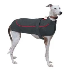 Nayeco Chubasquero X-Trek Gris Y Rojo