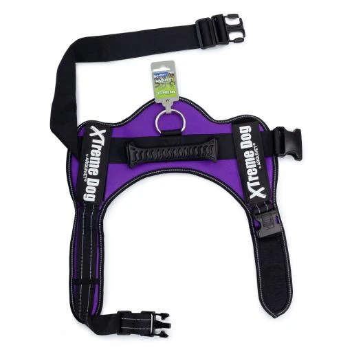Arquivet Xtreme Dog Harness Purple 2 Arquivet Xtreme Dog Harness Purple - Image 2