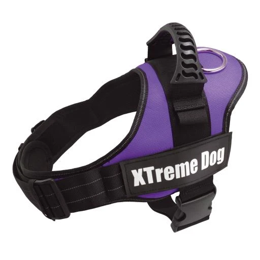 Arquivet Xtreme Dog Harness Purple 1 Arquivet Xtreme Dog Harness Purple