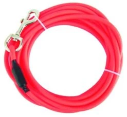 Freedog Nylon Hunting Leash Large