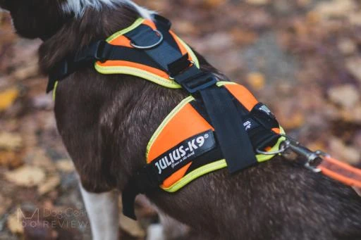 Julius K9 Mantrailing Orange And Neon Harness For Dogs 2 Julius K9 Mantrailing Orange And Neon Harness For Dogs - Image 2
