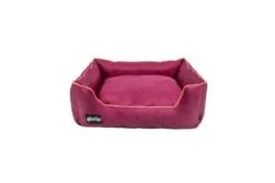 Gloria Pets Rink -Rectangular Quartz