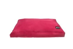 Gloria Pets Quartz Red Quartz