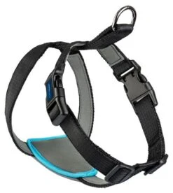 The Company Of Animals Carsafe Dog Travel Black Harness -Pet Supplies-Dogs Shop COA29021B COA29121B COA29221B COA29321B 2 637cd805302cc g