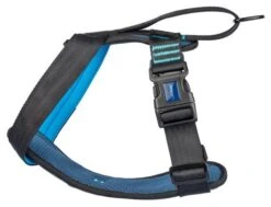 The Company Of Animals Carsafe Crash Tested Dog Harness -Pet Supplies-Dogs Shop COA29060B COA29160B COA29260B COA29360B 1 637cd7d2ed887 g
