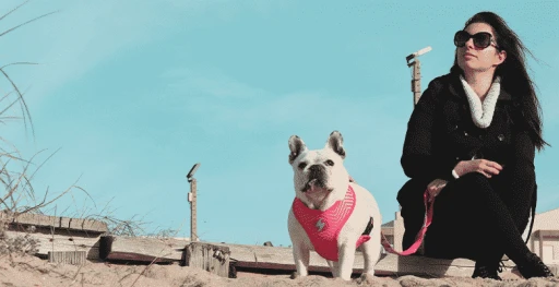 Dashi Harness Flamingo Neo 4 Dashi Harness Flamingo Neo - Image 4