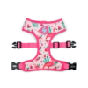 Dashi Harness Flamingo Neo