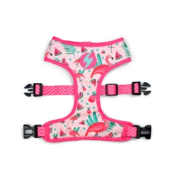 Dashi Harness Flamingo Neo
