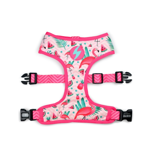 Dashi Harness Flamingo Neo 1 Dashi Harness Flamingo Neo