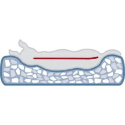 Trixie Vital Cushion Junis Sand 11 Trixie Vital Cushion Junis Sand -Pet Supplies-Dogs Shop GRA PRO VitalBett Hund 5b g 1