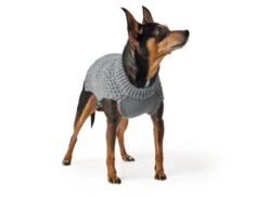 Hunter Dog Pullover Malmö Gray 13 Hunter Dog Pullover Malmö Gray -Pet Supplies-Dogs Shop HU66346 HU66347 HU66348 3 637de42286f91 g