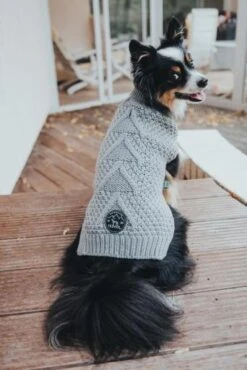 Hunter Dog Pullover Malmö Gray 16 Hunter Dog Pullover Malmö Gray -Pet Supplies-Dogs Shop HU66346 HU66347 HU66348 5 637de4214f7d2 g