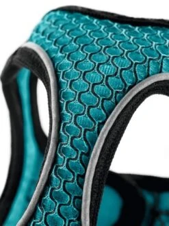 Hunter Harness Comfort Yarn Turquoise 9 Hunter Harness Comfort Yarn Turquoise -Pet Supplies-Dogs Shop HU67133 HU67134 HU67135 HU67136 HU67137 HU67138 HU67139 HU67468 2 62b03e6264e5c g