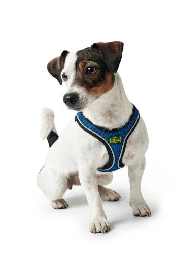 Hunter Harness Hilo Comfort Blue 4 Hunter Harness Hilo Comfort Blue - Image 4