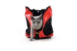 Hunter Taylor Backpack -Pet Supplies-Dogs Shop HU67558 3 637e0744760c1 g