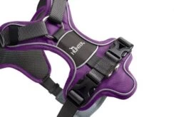 Hunter Divo Harness, Purple -Pet Supplies-Dogs Shop HU67579 HU67580 HU67581 HU67582 HU67583 HU67584 2 62dfbffba1dc6 g