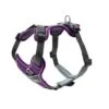 Hunter Divo Harness, Purple
