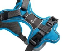 Hunter Divo Harness, Light Blue -Pet Supplies-Dogs Shop HU67599 HU67600 HU67601 HU67602 HU67603 HU67604 2 62dfbfe59e3de g