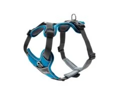 Hunter Divo Harness, Light Blue