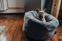 Hunter Black Miranda Bed -Pet Supplies-Dogs Shop HU67652 3 637e2e993b7a3 g