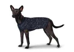 Hunter Finja Pullover, Blue 11 Hunter Finja Pullover, Blue -Pet Supplies-Dogs Shop HU67867 HU67868 HU67869 HU67870 HU67871 HU67872 HU67873 3 637de7de14950 g