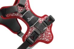 Hunter Harness Divo Reflect, Red/Grey -Pet Supplies-Dogs Shop HU68968 HU68969 HU68970 HU68971 HU68972 HU68973 2 637cc127a4472 g
