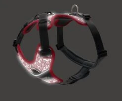 Hunter Harness Divo Reflect, Red/Grey -Pet Supplies-Dogs Shop HU68968 HU68969 HU68970 HU68971 HU68972 HU68973 4 637cc12696004 g