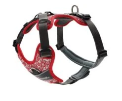 Hunter Harness Divo Reflect, Red/Grey
