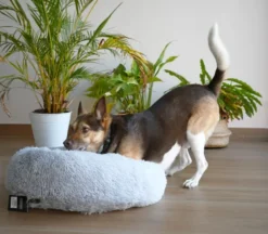 Musqui Oval Relax Light Gray Oval Bed For Dogs -Pet Supplies-Dogs Shop Life Style Loki Camas grandes 4 638e058521a29 g