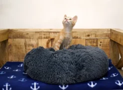 Musqui Oval Dark Grey Relax Oval Bed For Dogs 15 Musqui Oval Dark Grey Relax Oval Bed For Dogs -Pet Supplies-Dogs Shop Life style Tina y Leia Camas pequenas 28 638e059dc2fe7 g