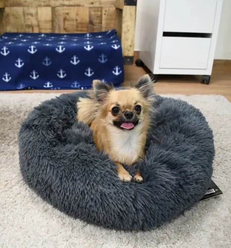 Musqui Oval Dark Grey Relax Oval Bed For Dogs 2 Musqui Oval Dark Grey Relax Oval Bed For Dogs - Image 2