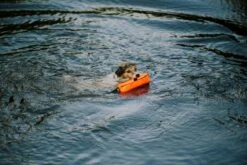 Julius K9 Multidummy Multifunction Motivator For Dogs 6 Julius K9 Multidummy Multifunction Motivator For Dogs -Pet Supplies-Dogs Shop Motivador Multidummy Multifuncion 6478ac1b19b37 g