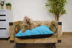 Musqui Good Vibes Cushion Blue -Pet Supplies-Dogs Shop Musqui Cojin Good Vibes Azul con Nina 3 62e2474167ceb g