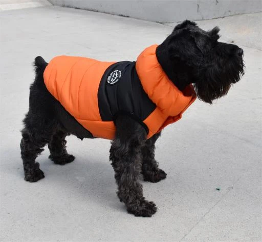 Nayeco Outing Jacket Orange 2 Nayeco Outing Jacket Orange - Image 2