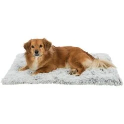 Trixie Harvey Mat 11 Trixie Harvey Mat -Pet Supplies-Dogs Shop PHO PRO DOG CLIP 38013 1 63628b3f5241a g