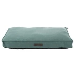 Trixie Talis Mint Green Cushion