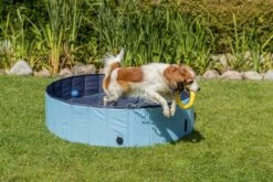 Trixie Dog Pool -Pet Supplies-Dogs Shop PHO PRO DOG 39480 39481 39482 39483 7 g