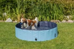 Trixie Dog Pool -Pet Supplies-Dogs Shop PHO PRO DOG 39480 39481 39482 39483 9 g