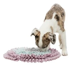 Trixie Junior Carpet To Sniff 11 Trixie Junior Carpet To Sniff -Pet Supplies-Dogs Shop PHO PRO DOG CLIP 32039 2 g