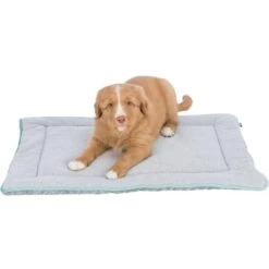 Trixie Grey And Mint Green Puppy Mat -Pet Supplies-Dogs Shop PHO PRO DOG CLIP 38249 1 g