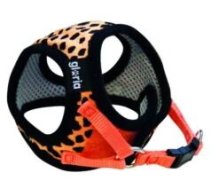 Gloria Pets Orange Leopard Dress / Dress