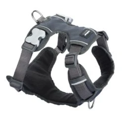 Red Dingo Gray Padded Oil