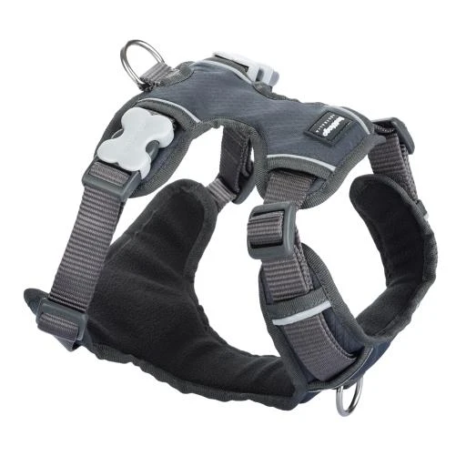 Red Dingo Gray Padded Oil 1 Red Dingo Gray Padded Oil