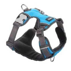 Red Dingo Turquoise Padded Oil